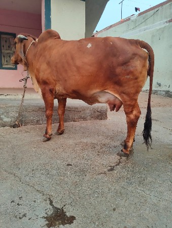 थंबनेल 2