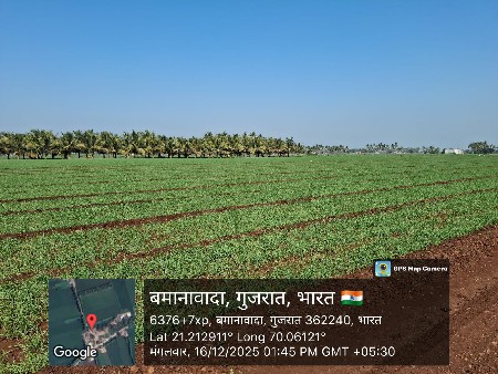 ખેતી ની જમીન વેચવાની છે