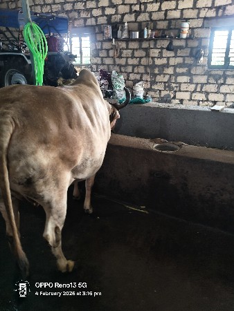 थंबनेल 2