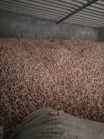 બિયારણ માટે મગફળી વેચવાની છે