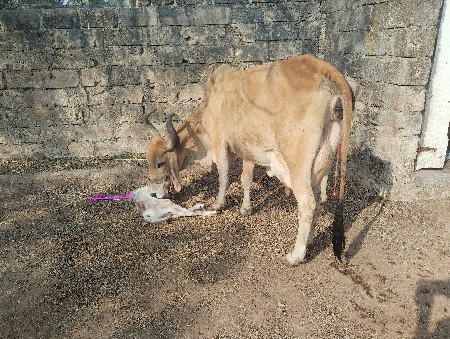 थंबनेल 3