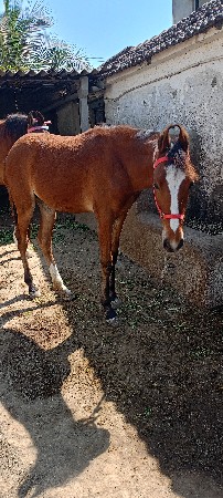 થંબનેલ 3