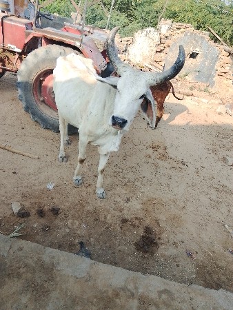 थंबनेल 2