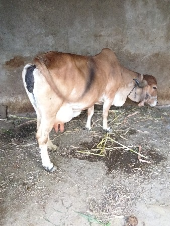 थंबनेल 2