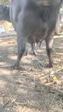 थंबनेल 2