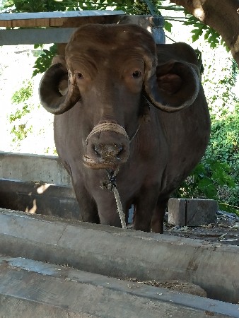 थंबनेल 2