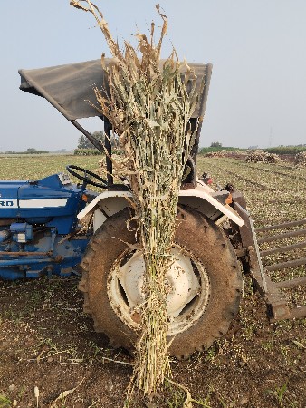 જુવાર ની સા ર  એકદમ મીઠી