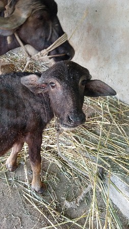 थंबनेल 2