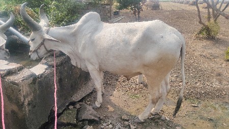 थंबनेल 3