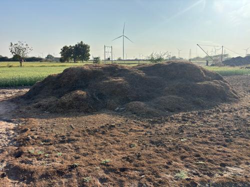 ૧૨ વીઘા નો મગફળી નો ભૂકો (ચારો) વેચવાનો છે