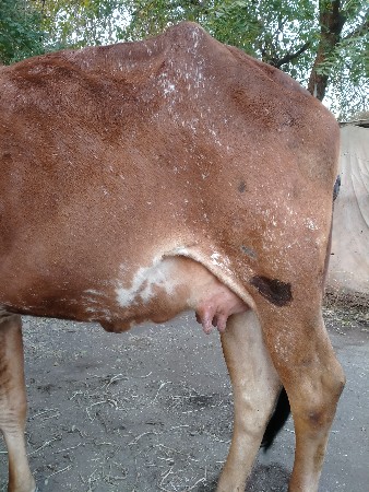 थंबनेल 2