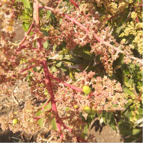 थंबनेल 3