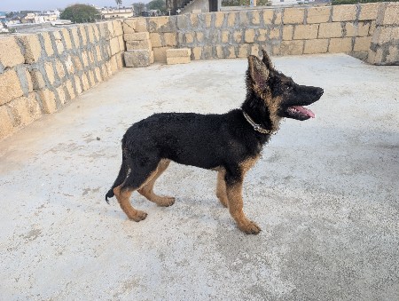 थंबनेल 3