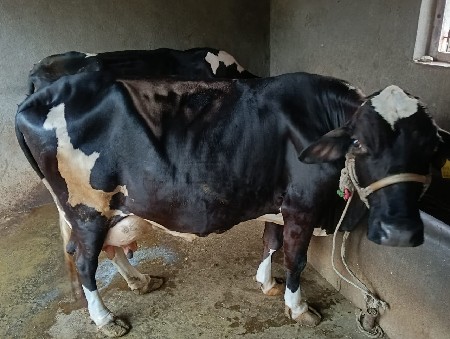 ત્રીજા વેતનની છે