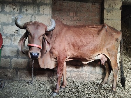 थंबनेल 2