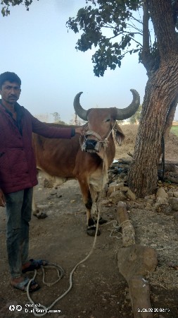 થંબનેલ 2