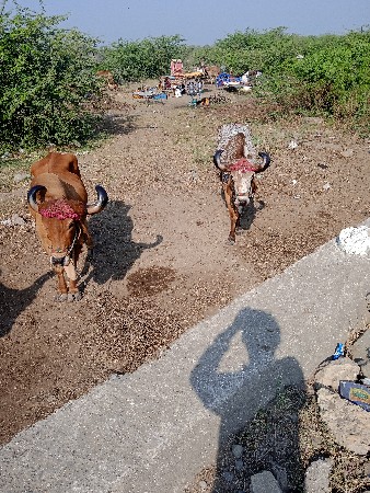 थंबनेल 3