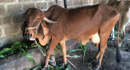 थंबनेल 3