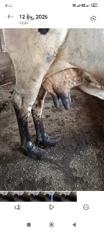 थंबनेल 3