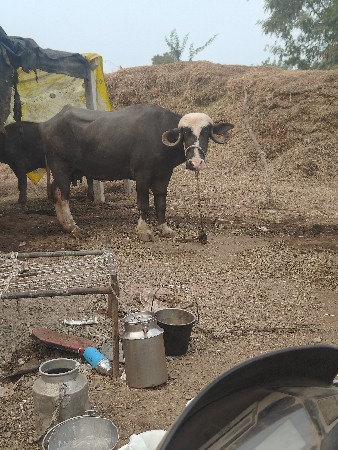 थंबनेल 2