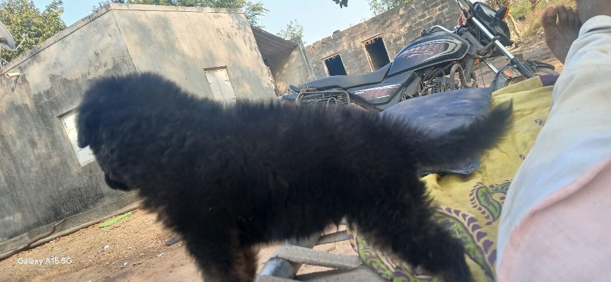 થંબનેલ 3