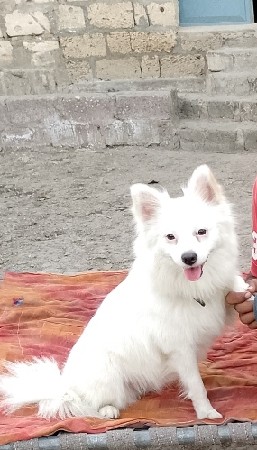 थंबनेल 3