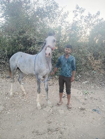 थंबनेल 3