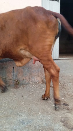 થંબનેલ 2