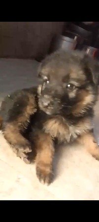 थंबनेल 3