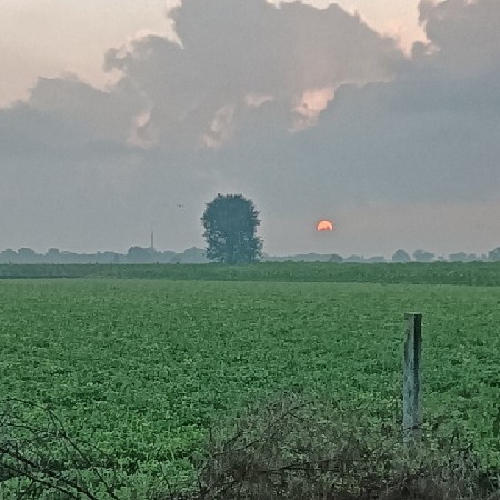 ખેતી ની જમીન વેચવાની છે