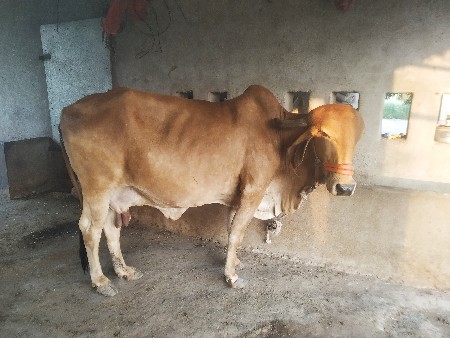 थंबनेल 3