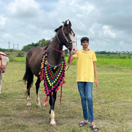 थंबनेल 2