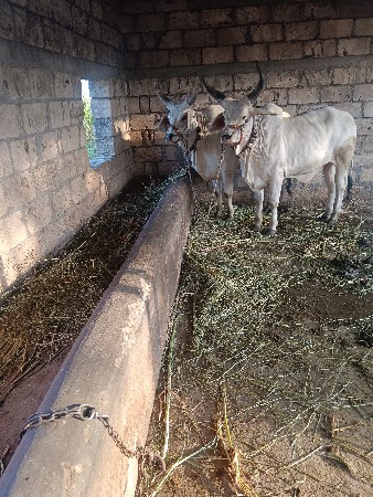 थंबनेल 2