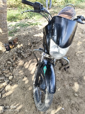 બજાજ પેલેટીના