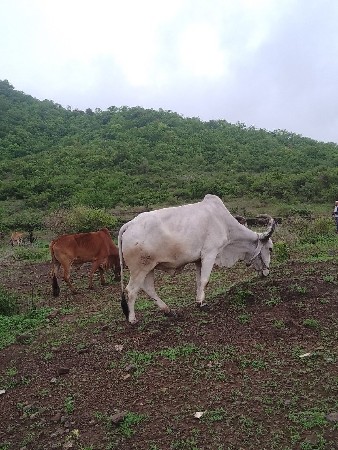 थंबनेल 2