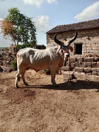 थंबनेल 2