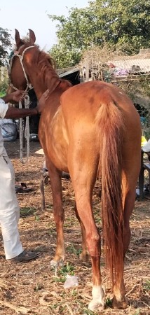 થંબનેલ 2