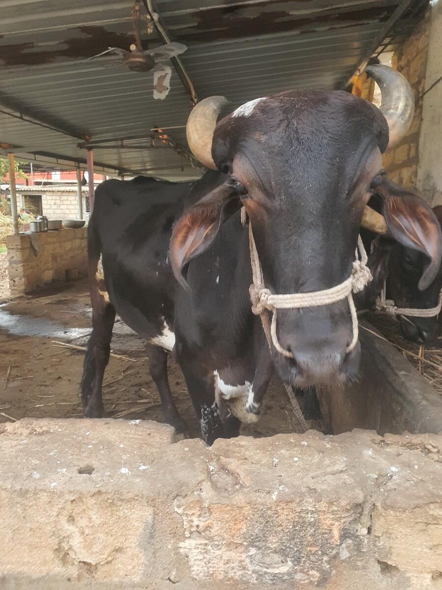 थंबनेल 3