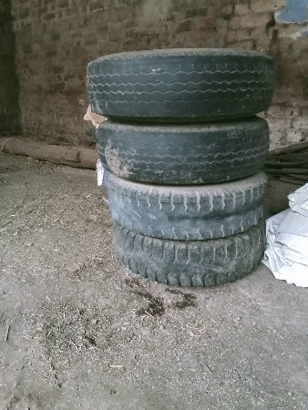 થંબનેલ 3