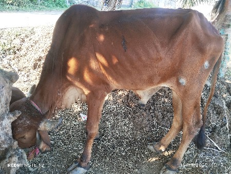 थंबनेल 2