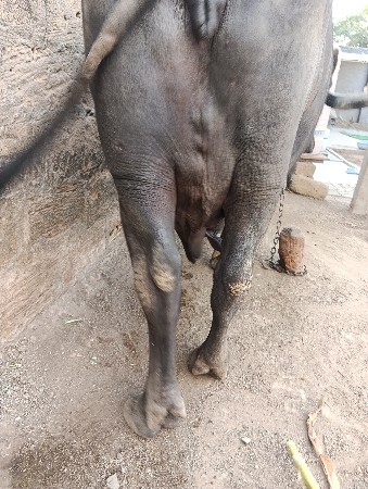 थंबनेल 2