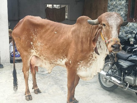 थंबनेल 2