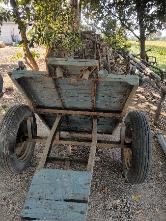 થંબનેલ 3