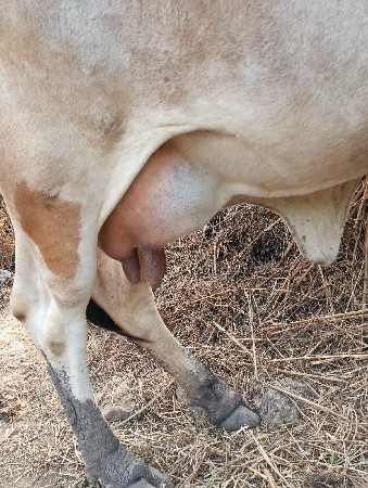 थंबनेल 2