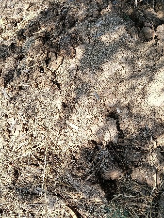 4-5 ટ્ફેરા ખાતર વેચવાનું છે