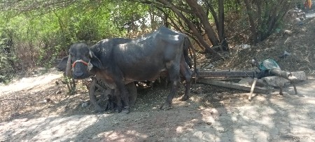 थंबनेल 2