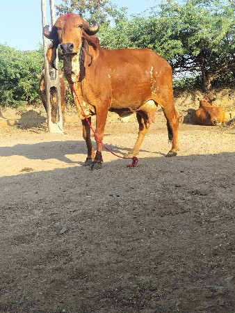 थंबनेल 3