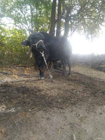 રેલવેટરી ખરેલી આવીએ છીએ 10 મો મહિન