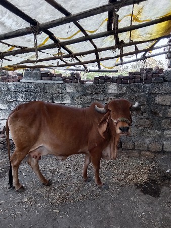 थंबनेल 2