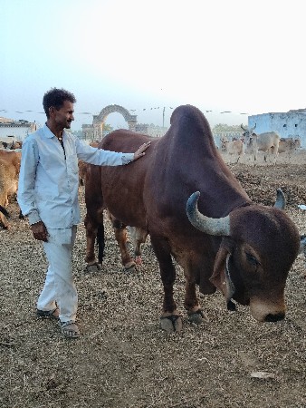 थंबनेल 3